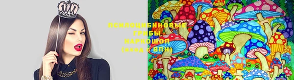 амфетамин Рославль